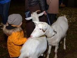 Příjezd sv. Martina 2022